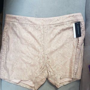 NWT  Cable & Gauge Dressy Lace Shorts   Size XL